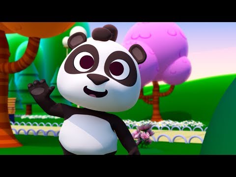 Sou Um Ursinho - Canções do Zoo