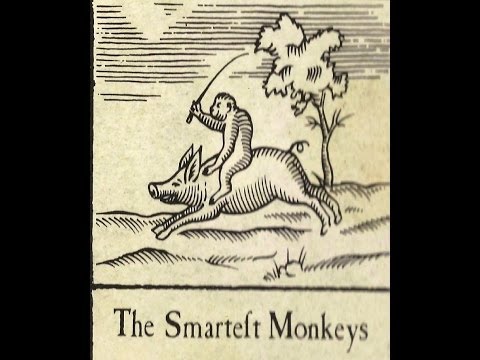 XTC- The Smartest Monkeys-