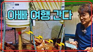 "닭 밥 주기 싫어서 머리 좀 썼습니다... 이제 1박 2일 여행 가요!"