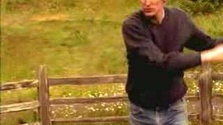 Pavement - Major Leagues