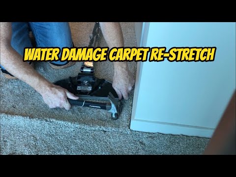 YouTube video about: Should carpet be replaced after water damage?