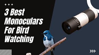 Top 3 best monoculars for bird watching 2022
