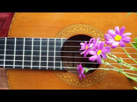 Fernando Sor. Study No 2 Opus 60