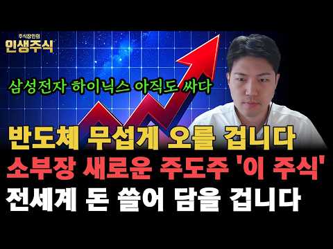 삼성전자 SK하이닉스 아직도 싸다, 반도체 소부장 새로운 주도주 '이 주식' 전세계 돈 쓸어 담으며 무섭게 오를 겁니다 [인생주식]