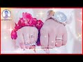 Sarda Shareek Shala Sarda Raway Whatsapp Status Zainwrites766 UltraBollywood Pinkfong