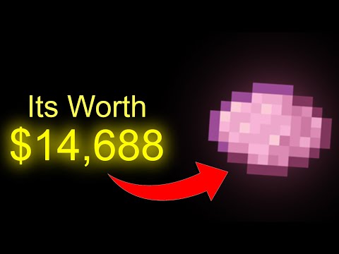 Die Geschichte des seltensten Gegenstands von Minecraft | Eine Hypixel Skyblock-Dokumentation