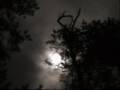 being with a full moon and the wind