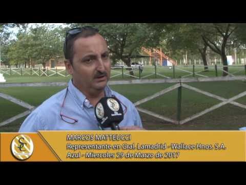 29-03-17 Nota Marcos Matteucci - Wallace Hnos. S.A. - Azul