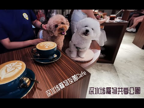 「深水埗區」寵物共享公園🐶🐾及二間寵物友善Cafe介紹【小腳掌大世界🐾】