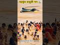 महाकुंभ वाशुकी नाग Prayagrajkumbh Mahakumbh2025 Mahakumbh Prayagraj 
