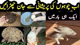 Mouse Woes No More: Effective Strategies to Eliminate Unwanted Rodents|Chuhe baghane ka tarika #rat