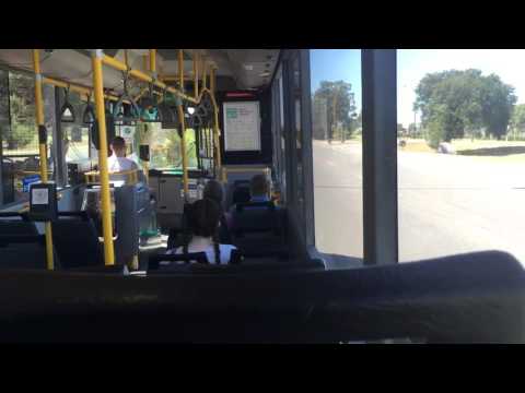 Transperth TP1150 Mercedes Benz O405NH (Voith Kickdown)
