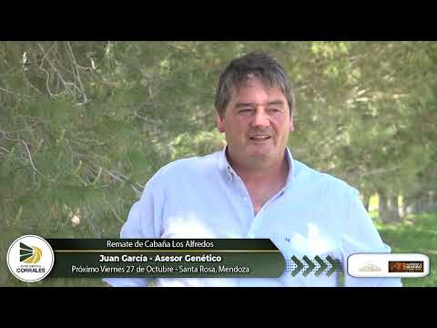 Juan García - Asesor Genético - Próximo Remate de Cabaña Los Alfredos