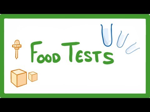 GCSE Biology Food Tests Practicals 16