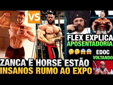 ZANCA E HORSE GIGANTES (SHAPES ATUAIS) - FLEX EXPLICA MOTIVOS DA APOSENTADORIA + EDOC VOLTANDO