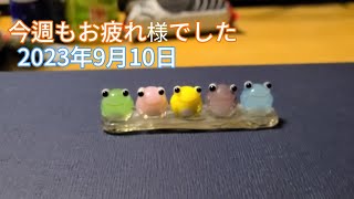 【週末雑談】ボウリング行ったぞい& カラオケ動画消えた(˙ཫ˙)