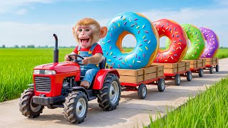 Download lagu Petualangan Monyet NaNa Mencari Donat Berubah Menjadi Kacau — Solusi Jeniusnya Mengejutkan Semua ... mp3 Download lagu Petualangan Monyet NaNa Mencari Donat Berubah Menjadi Kacau — Solusi Jeniusnya Mengejutkan Semua ... mp3