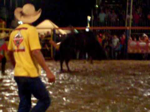 Fabricio Alves x Serpente ( Rodeio de Borebi 2009 )