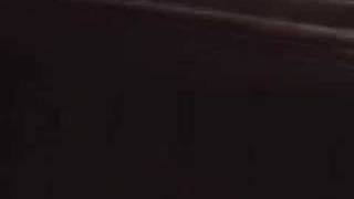 Charlemagne Palestine