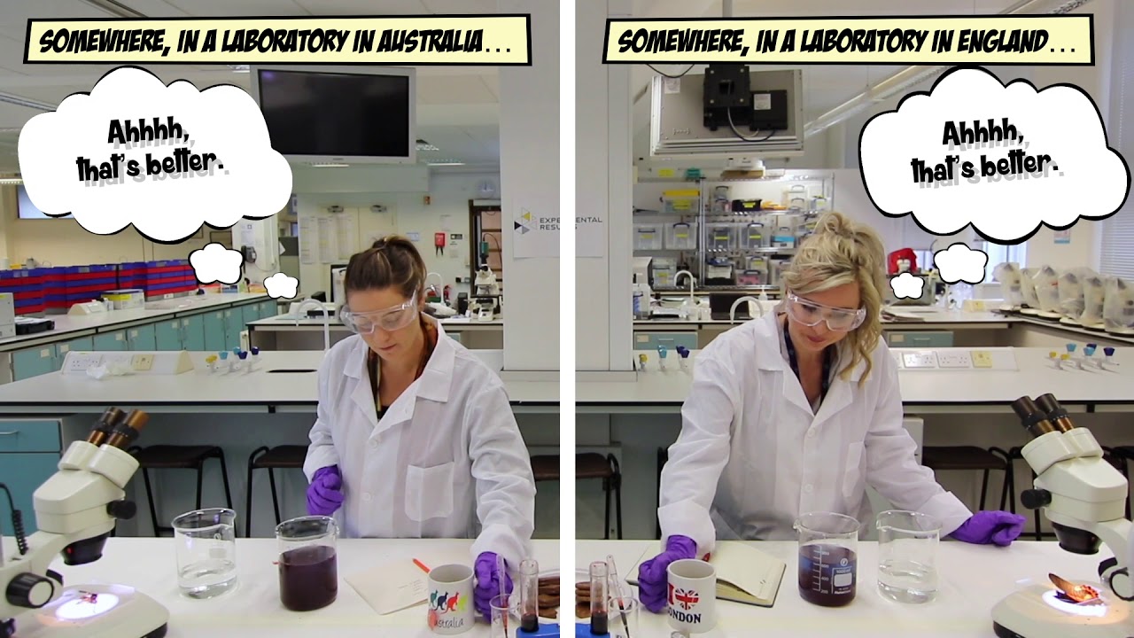 Let's put an end to unnecessary duplication. Discover Experimental Results.