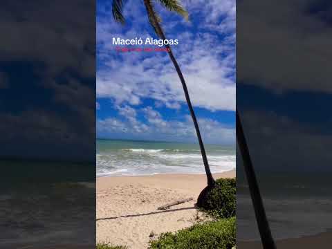 #praia #turismo #praiasdonordeste #maceioalagoas