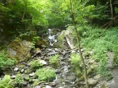 Rheinsteig Wasserfall bei Rengsdorf