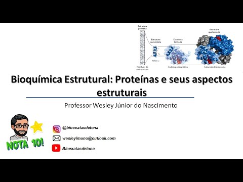 Bioquímica Estrutural -Aula 04 - Estrutura de Proteínas