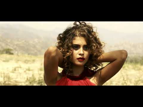 Peter Martijn Wijnia pres. Majesta - Universum (Original Mix)