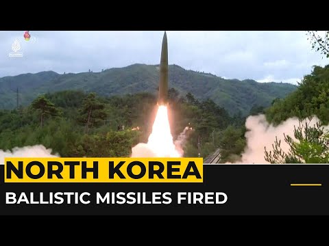 N Korea fires 2 ballistic missiles as US sub arrives in S Korea