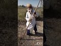 Funny Video Of Punjabi Oldman Abusing To Those People Who Makes Angry To Him Shorts Youtube