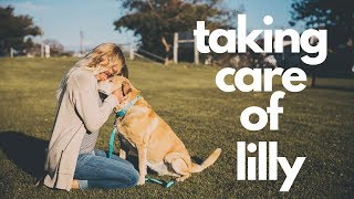 LILLY HAD A SCARE | TREAT YO-SELF DAY