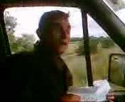 Scott Avy Hitch Hiker