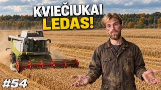 Javapjūtės Finalas! Kaip Užderėjo Vasariniai Kviečiai?! // JAUNASIS ŪKININKAS #54