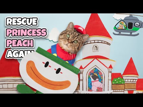 Trouble in Peach's Castle, Super Mario Cat On a Rescue Mission Once Again