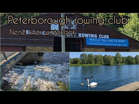 UK🇬🇧.. PETERBOROUGH Rowing club walking tour..Nene River WATERLOCK.. THORPE MEADOWS।।গভীর বন।।বাঁধ।