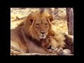 Neil Diamond - I Am The Lion
