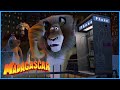DreamWorks Madagascar Marty S Escape Madagascar Movie Clip