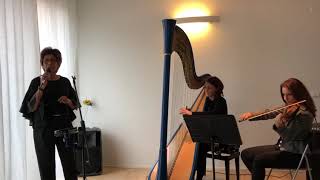 Arpista Eclettica