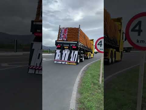 NÓIS É MUITO TRAMPO PRA POUCA IDEIA 💡 🇧🇷