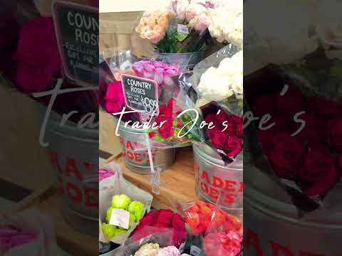 I think this will be my new favorite Trader Joe’s 💐