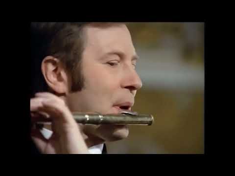 J.S. Bach - Brandenburg Concerto No.5 (Richter)