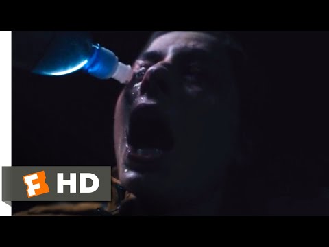 ブライトンロックの死体（2019年） - 熊のメイスのシーン（7/8）｜Movieclips (Body at Brighton Rock (2019) - Bear Mace Scene (7/8) | Movieclips)