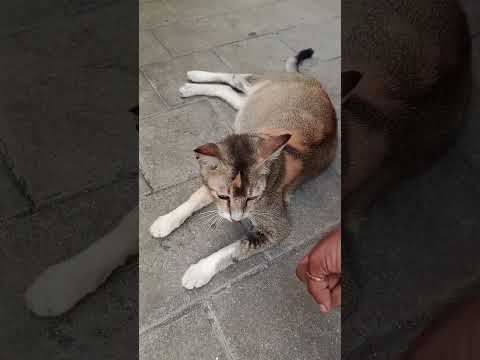 Yugam Ati Bhayankaram Adbhutam