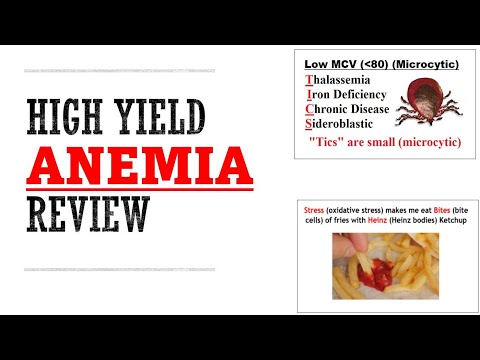 Anemia Review | Mnemonics And Proven Ways To Memorize for your exams!