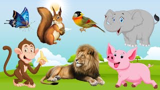 Download Lagu Cute animals: cow, lion, dolphin, tiger, horse, cat, rabbit, chicken, sheep Thumbnail