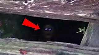 В этом списке топ-12 есть таинственные видео самых страшных вещей, когда-
либо найденных исследователями, спускающимися в жуткие старые 
подвалы. Жуткие и странные звуки всегда звучат страшнее, когда доносятся 
из подвала. Страшные