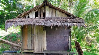 Download lagu Suku Dayak || Berburu di Hutan Kampung Tetangga mp3 Download lagu Suku Dayak || Berburu di Hutan Kampung Tetangga mp3