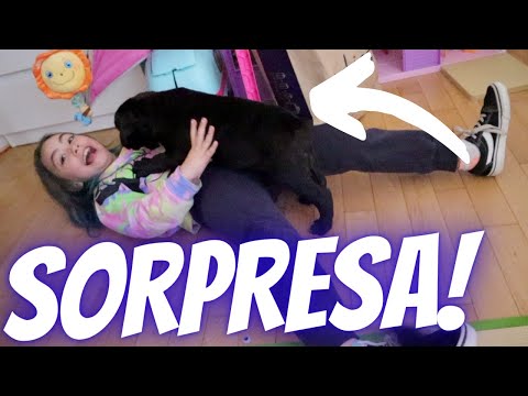 SORPRESA A LARA, NUOVO CUCCIOLO IN CASA ! / chiara paradisi