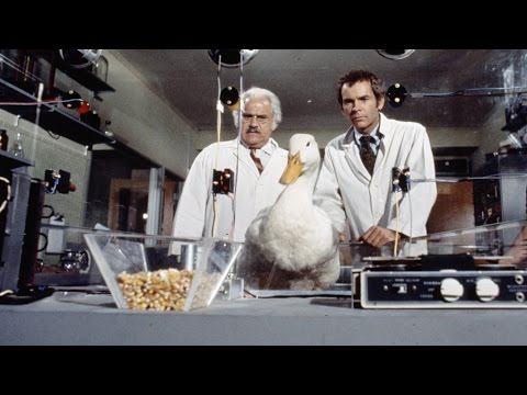 The Million Dollar Duck (Clip 'Rob vs. Tim')