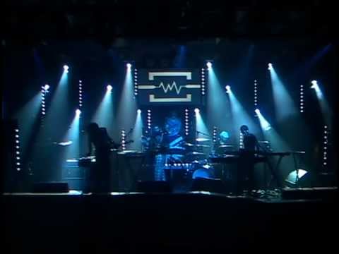 Stokeswood "Forrest Face (Nexus)" live at the Culture Room w/ Zoogma